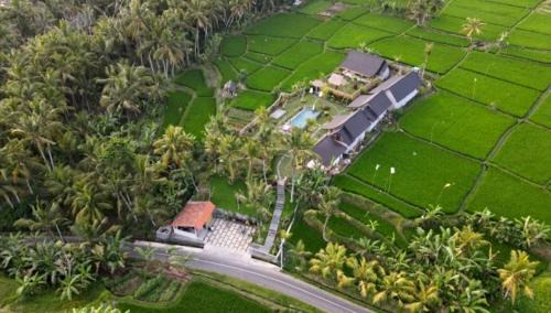 Green Coconut Cottage in Ubud