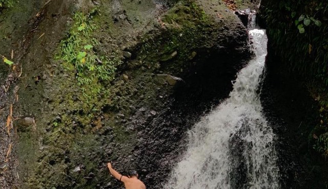 Green Escape in Tetebatu