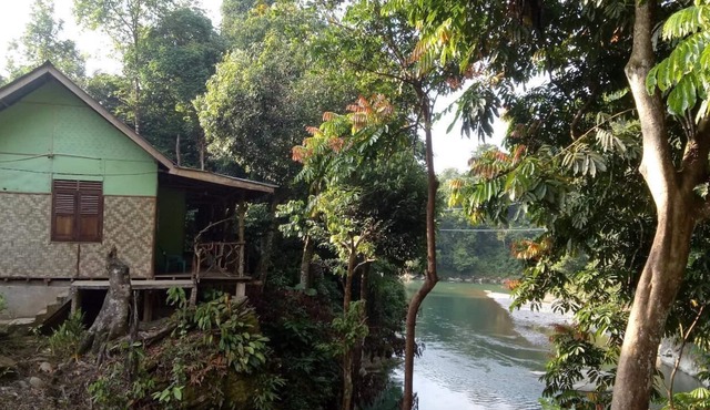 Green Lodge Tangkahan in Batang Serangan