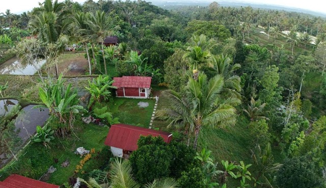 Greenday bungalows in Tetebatu