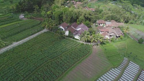 Griya Harja Homestay in Borobudur