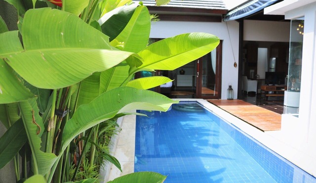 Habibi Villa Bali 5 Min from Beautiful Beaches in Jimbaran