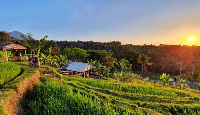 Hara Bali Eco Homestay in Balian