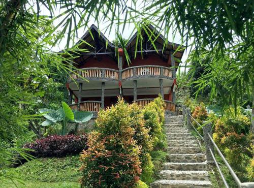 Hotel Orangutan in Bukit Lawang