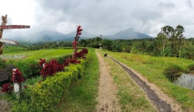Humble Cabin surrounded by Nature Vibes - Rice Fields and waterfalls in Bali