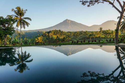 Ijen Resort and Villas - The Hidden Paradise in Banyuwangi