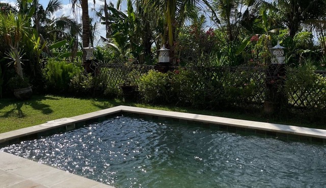 Jasri Bali Rumah Luna Pele in Jasri