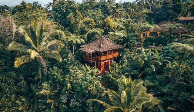 Jungle House with Stunning views and a Natural pool! in Tabanan