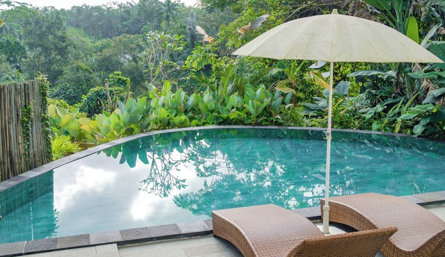 Jungle Villa Your Secluded Corner in the Jungle of Bali in Bali