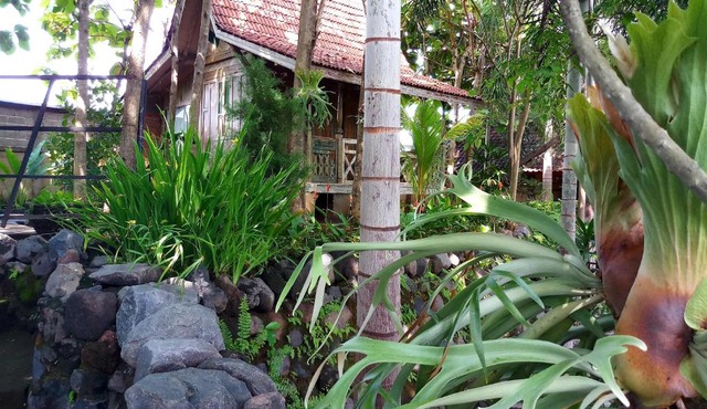 Kubu Reod in Singaraja