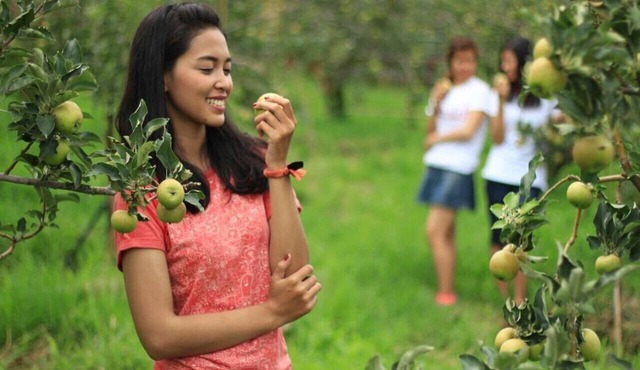 Kusuma Agrowisata Resort & Convention Hotel in Batu
