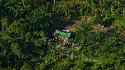 La Capanna Sumatra Ecovillage in Timbanglawang