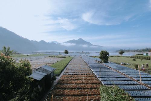 Lake Batur Cabin in Songan