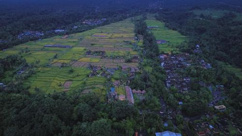 Lawani Resort in Tegalalang