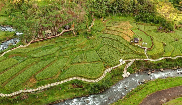 Le Eminence Hotel Convention & Resort Ciloto - Puncak in Cipanas
