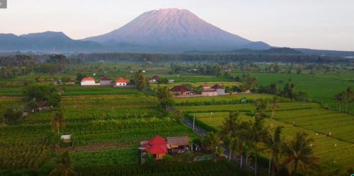 LinkeesHome Bungaya in Karangasem