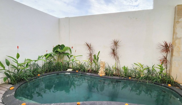 Luxurious 3-Bedroom Villa in the Heart of Seminyak in Seminyak