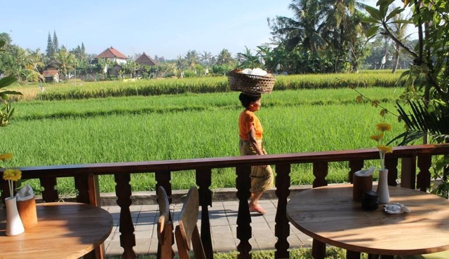 Luxury 2 BR Private Pool Vila Nice Paddies Field View in Ubud