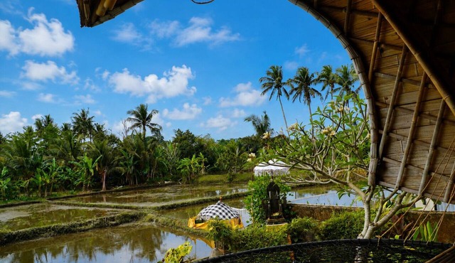 Luxury Villa - Private Pool Bamboo Villa 2BR overlooking the rice fields in Ubud