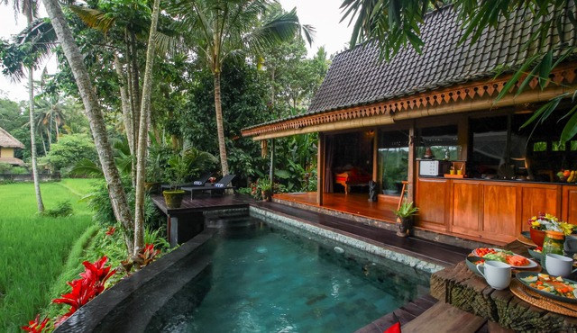 Luxury Villa with Private Pool and Kitchen! in Gianyar
