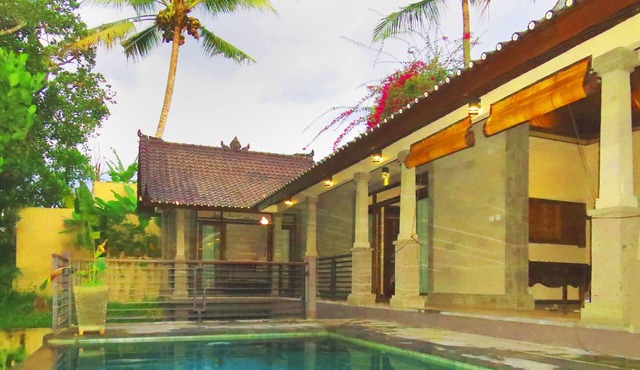 Magnificent, tranquil, SECLUDED 2+2 villa on the very edge of the rain forest! in Ubud