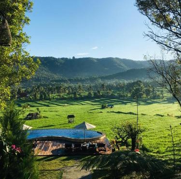MAYURA BALI VILLA in Munduk