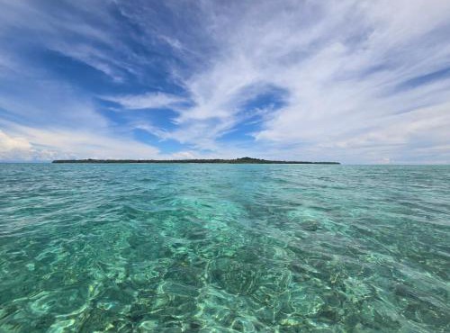 MB Palambak Island Resort Pulau Banyak Aceh Singkil in Pulau Palambakbesar