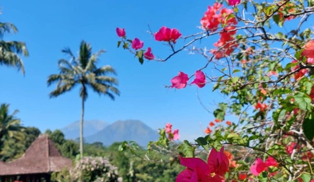Mesastila Resort and Spa Magelang in Losari