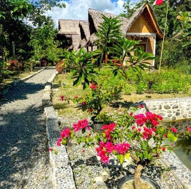Mimpi of Orangutan Adventure, TREK ONLY BOOK WITH US in Timbanglawang