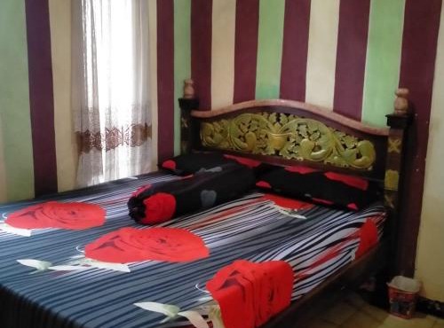 Misran Homestay in Triwung