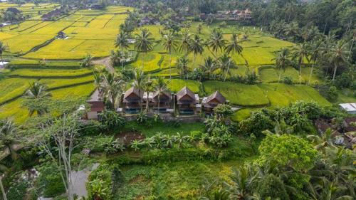 Moonterra Villa Ubud by Dhananjaya Hospitality in Tampaksiring