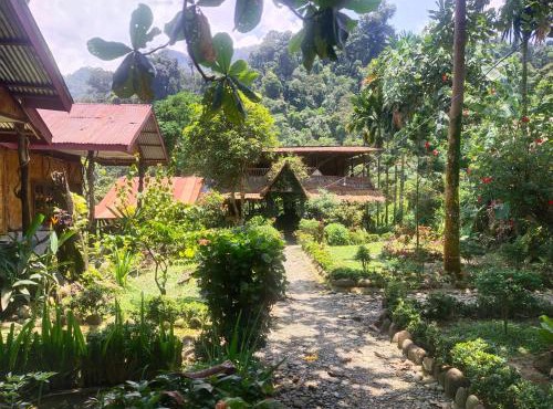 Mountain View Cottages & Villa Tangkahan in Tangkahan