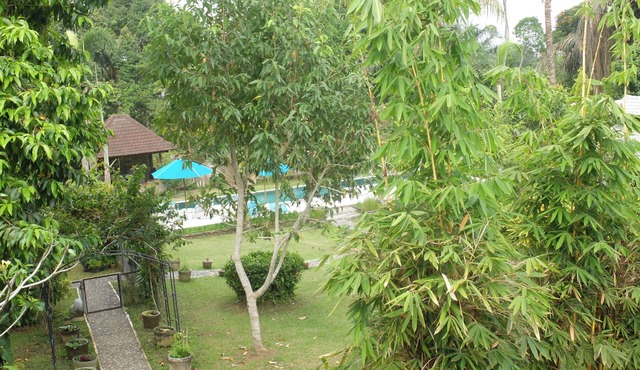 NEW Jungle Living! Ubud at its purest! Enjoy relaxation. in Ubud
