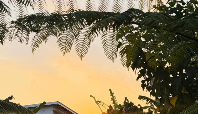 Opik Homestay Tetebatu in Tetebatu