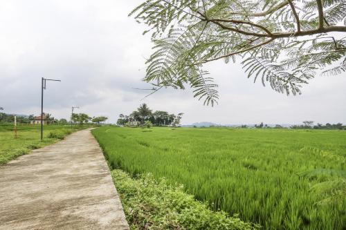 OYO Homes 91151 Desa Wisata Kreatif Perdamaian Srumbung Gunung in Karangjati