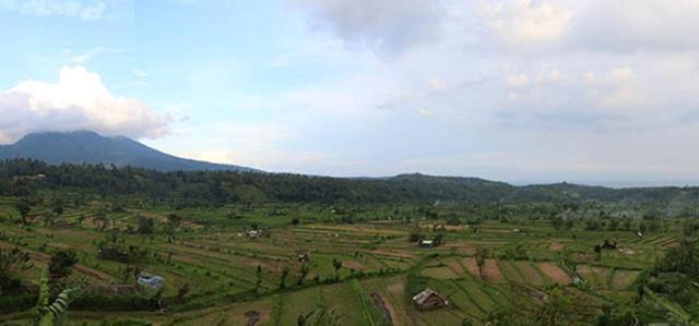 Pandan Guest House in Tirtagangga
