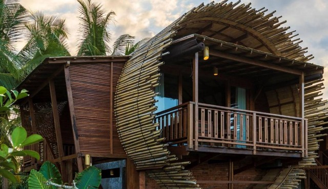 Panoramic views of rice field Bee House Ubud in Ubud