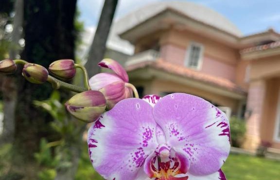 Papandayan Flowers House Villa in Babakan Madang
