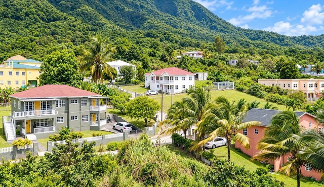 Peaceful 3BR St. Kitts Mountain Getaway in Saint Peter