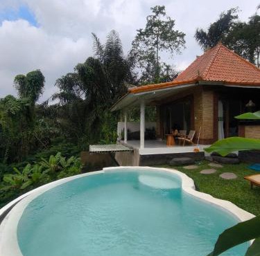 Peaceful private pool villa with Infinity Jungle Escape in Penginyahan