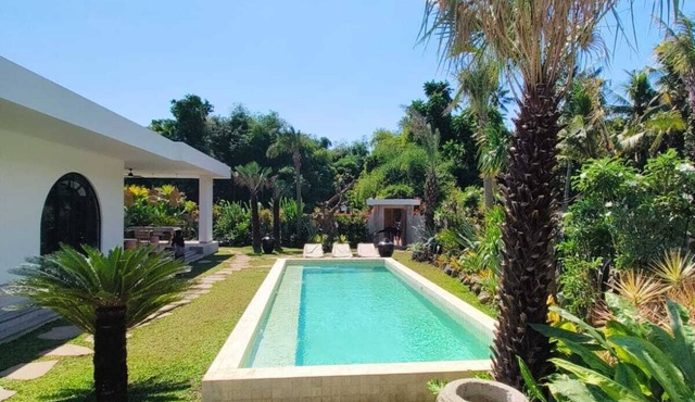 Perfect for Families & Groups, Villa Cactus 3BR with Pool, Garden & Kitchen. in Lovina Beach