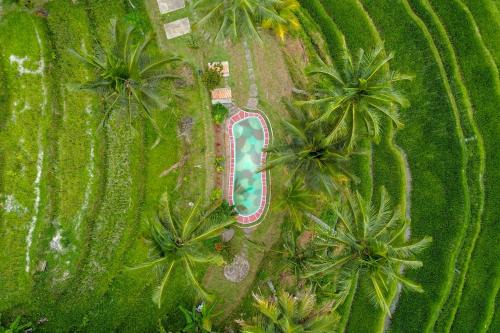 Pesona Bali Ecolodge by AGATA in Jatiluwih