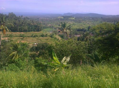 Pondok Alam Bukit in Tirtagangga