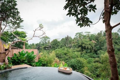 Pondok Dedari villa in Penginyahan