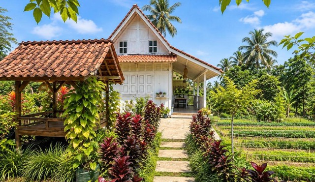 Pondok Is Oke Family Room - 2 Bedroom Ricefild view in Banyuwangi