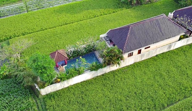 Private pool Villa Sawah Sewon in Yogyakarta