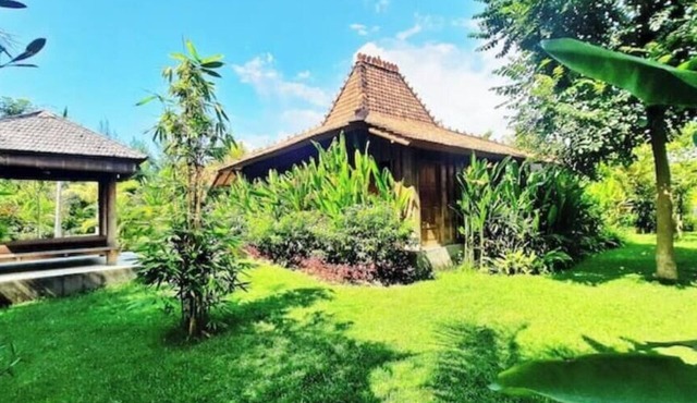 Private, tropical garden, authentic wooden house in Seririt
