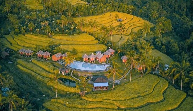 Puri Sunny Camp in Munduk