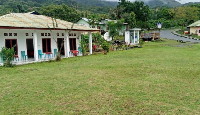 Rice field guest house in Kelimutu