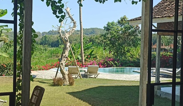 Rice Paddy and Pool View Villas in Jarakan